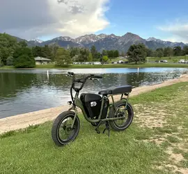 E-Bike (RadRunner 2)