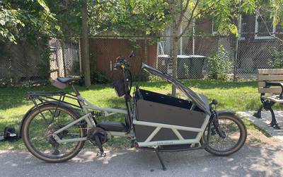 Riese Muller Load Cargo Bike