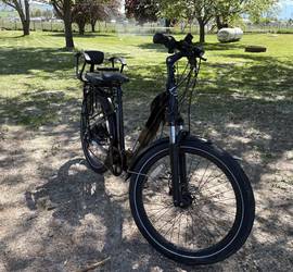 Magnum Cosmo E bike with 50 mile max range depending on throttle usage.