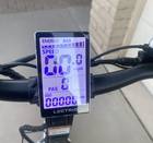 Electric Cargo Bike (Lectric Xpedition)