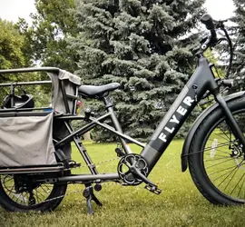 Flyer Cargo E-Bike