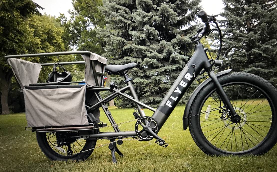 Flyer Cargo E-Bike