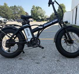 Ebike for Rent (Delivery Available!)