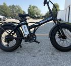 Ebike for Rent (Delivery Available!)