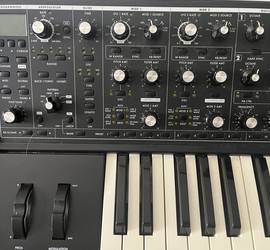 Moog Subsequent 37