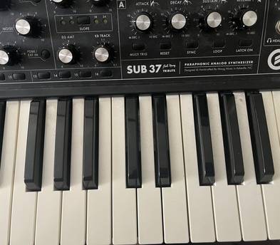 Moog Subsequent 37