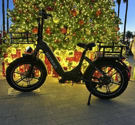 Electric bike