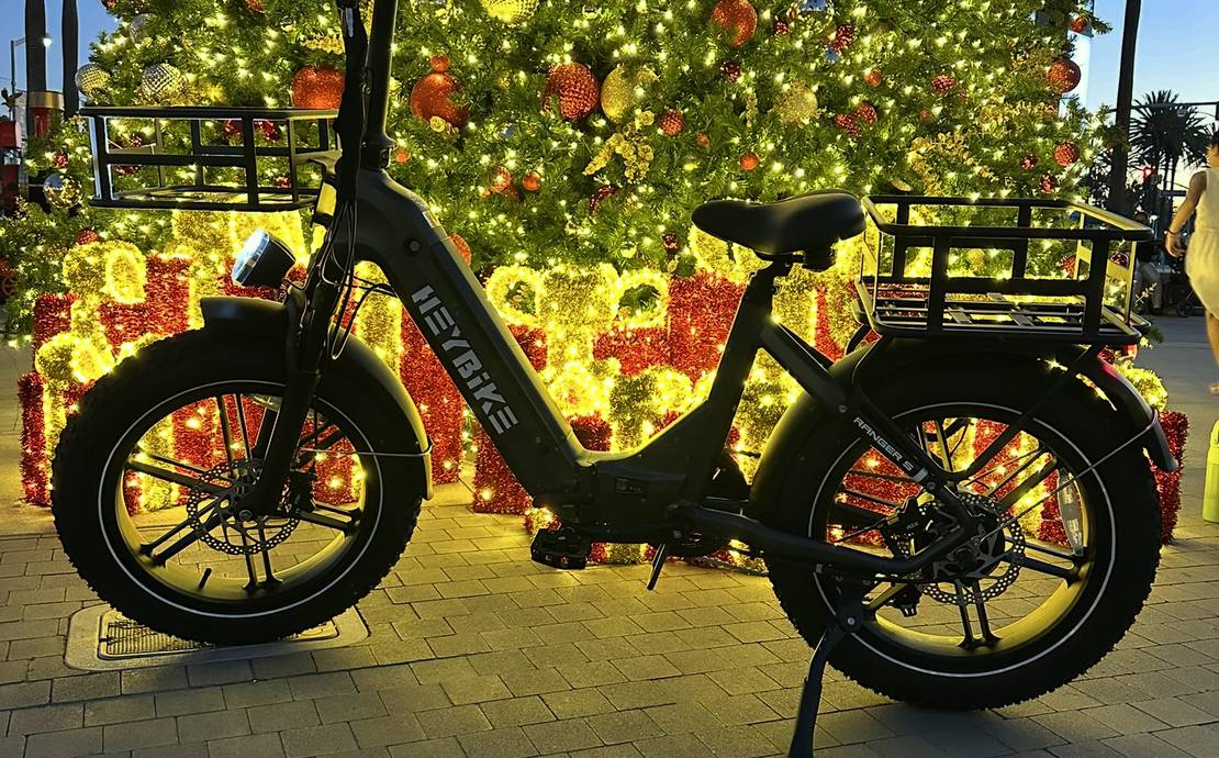 Electric bike