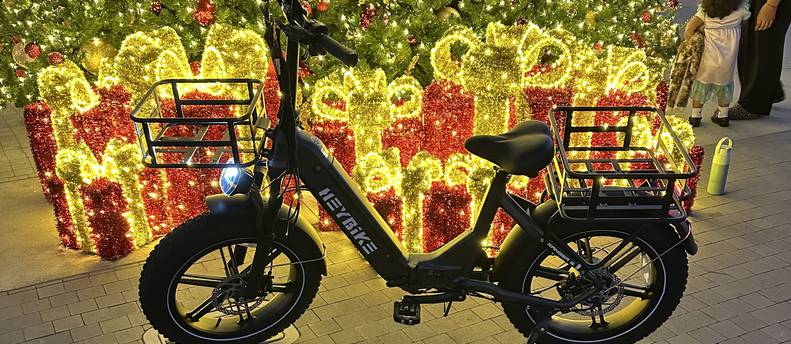 Electric bike