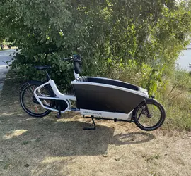 Urban Arrow Family Cargo Bike
