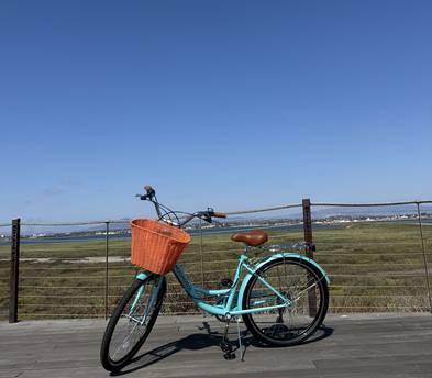 Cruiser Bicycle (with basket and lock)