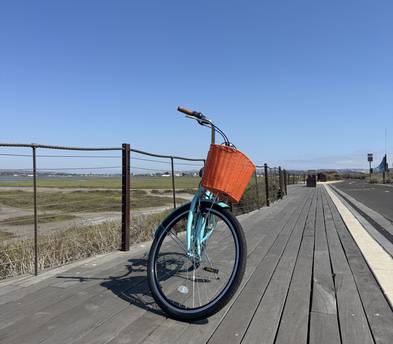Cruiser Bicycle (with basket and lock)