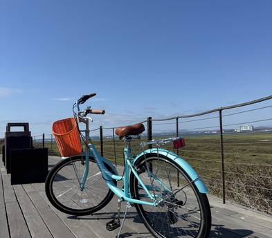 Cruiser Bicycle (with basket and lock)