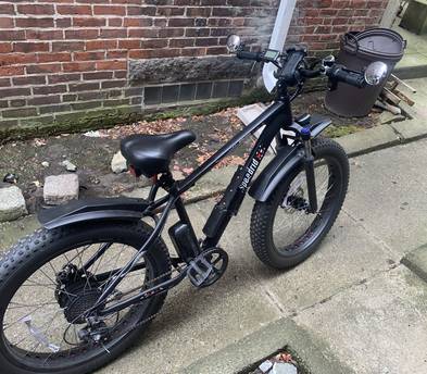 Electric Bike