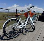 Cruiser Bikes (Bundle for two)