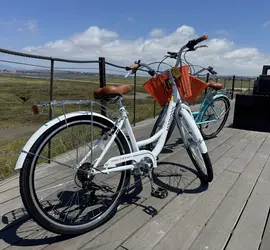 Cruiser Bikes (Bundle for two)