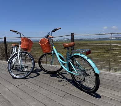 Cruiser Bikes (Bundle for two)