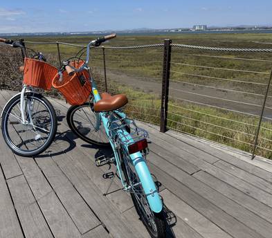 Cruiser Bikes (Bundle for two)