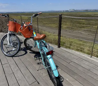 Cruiser Bikes (Bundle for two)