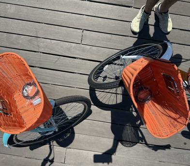 Cruiser Bikes (Bundle for two)