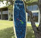 Stand Up Paddleboard