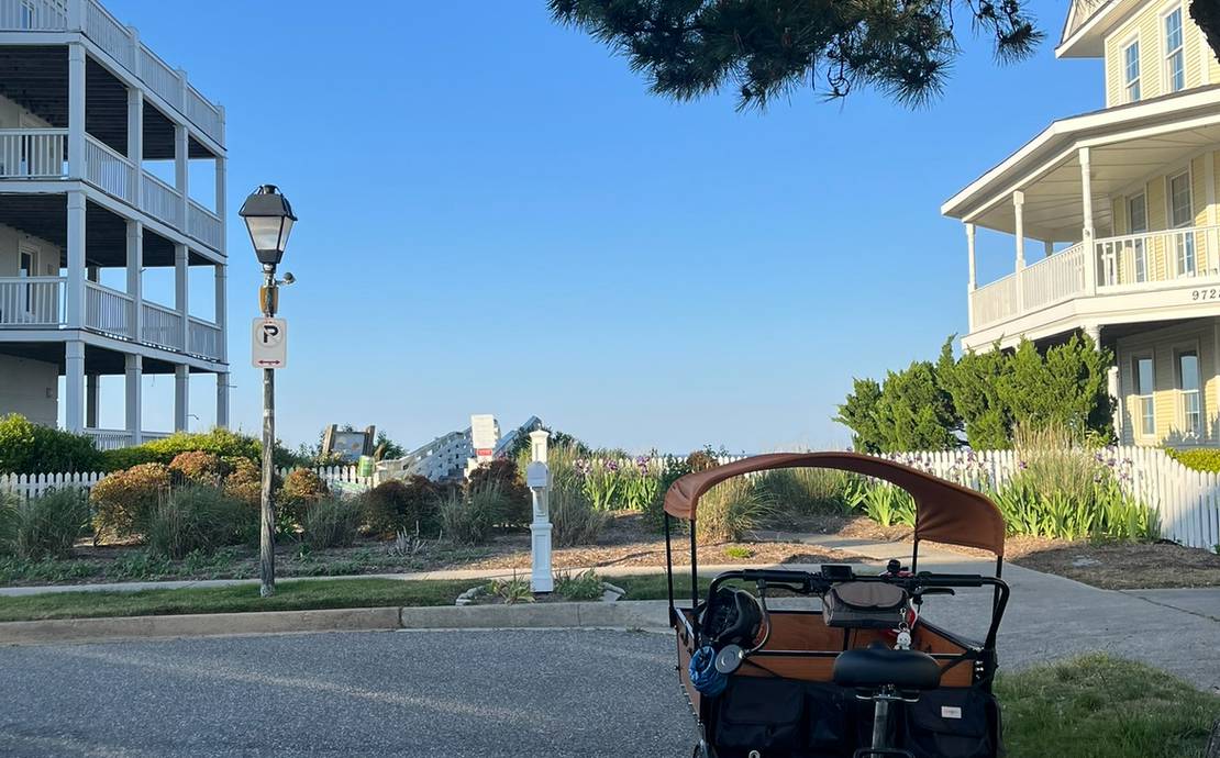 Bunch Bike Preschool Electric Cargo Bike