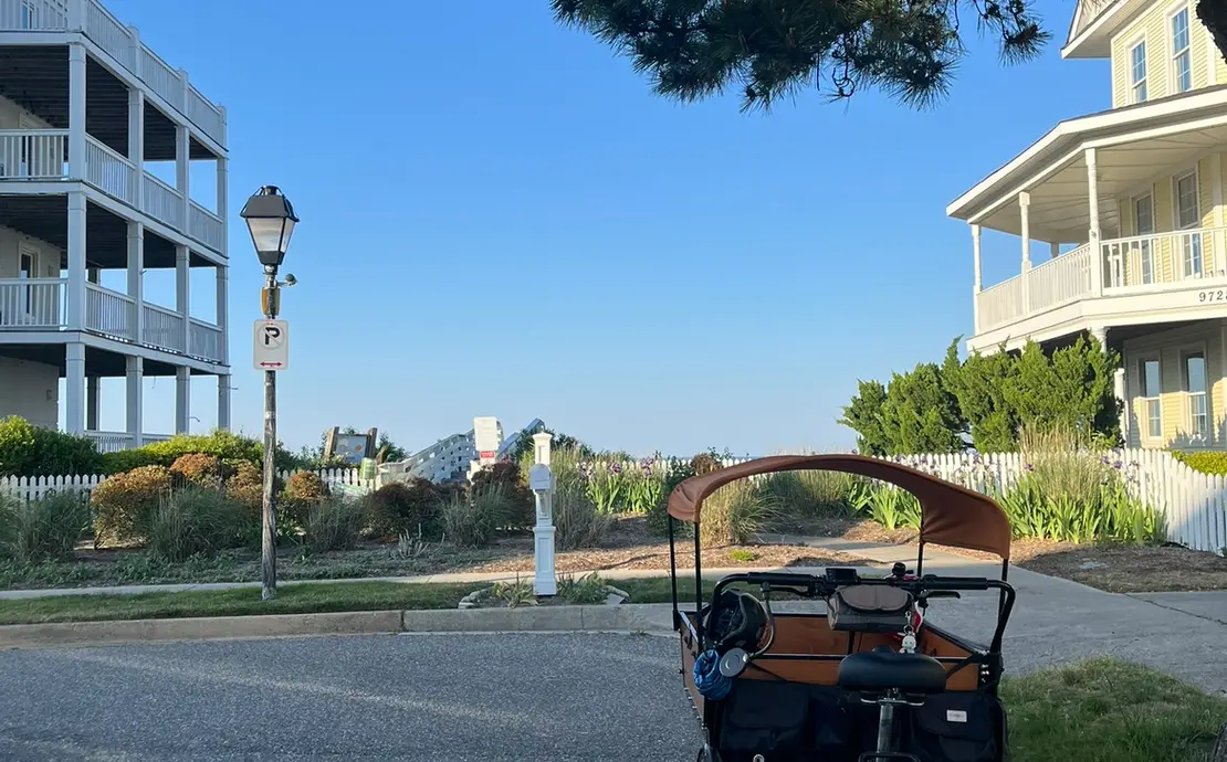Bunch Bike Preschool Electric Cargo Bike