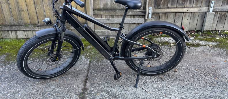 RadRover™ 6 Plus Electric Fat Tire Bike wo Basket
