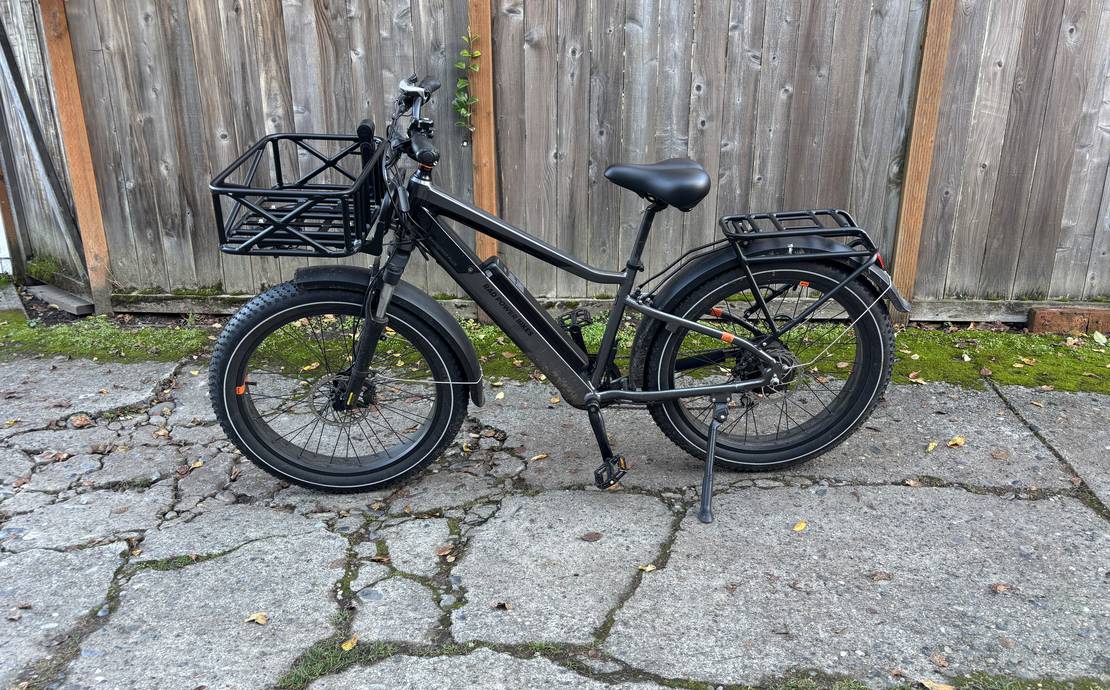 RadRover™ 6 Plus Electric Fat Tire Bike