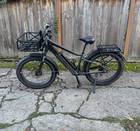 RadRover™ 6 Plus Electric Fat Tire Bike