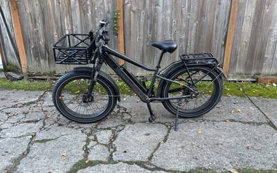 RadRover™ 6 Plus Electric Fat Tire Bike