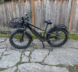 RadRover™ 6 Plus Electric Fat Tire Bike