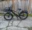 RadRover™ 6 Plus Electric Fat Tire Bike