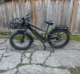RadRover™ 6 Plus Electric Fat Tire Bike