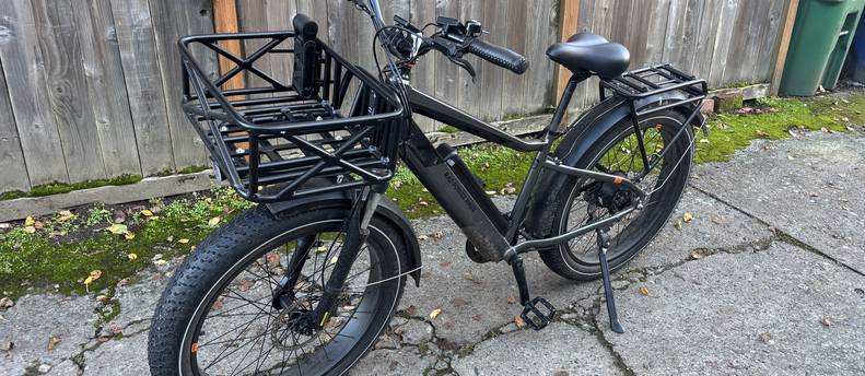 RadRover™ 6 Plus Electric Fat Tire Bike
