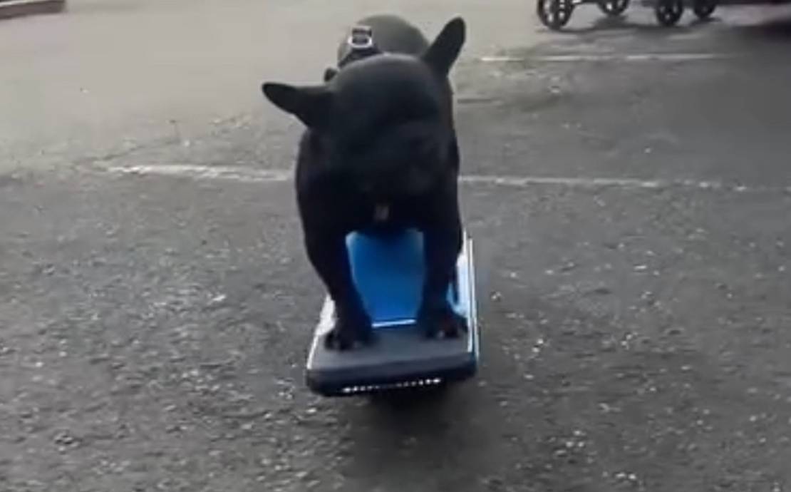 One wheel pint