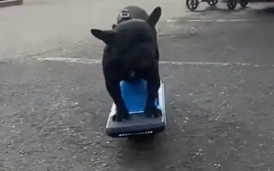Onewheel rental in Washington