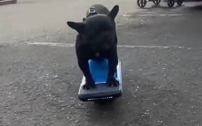 Electric Skateboard rental in Washington