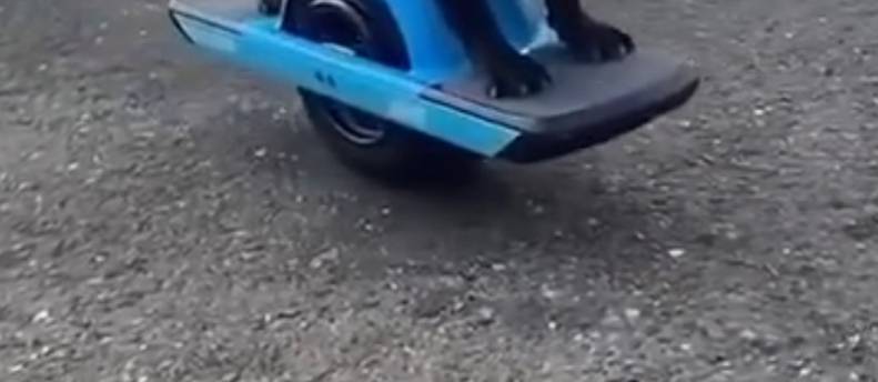 One wheel pint