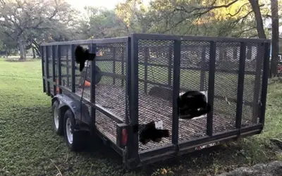 Utility Trailer rental in Bee Cave