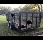 Magnum Utility Trailer