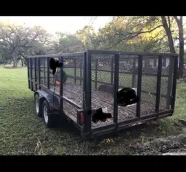 16' x 6' x 4' Utility Trailer