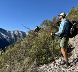 Black Diamond Alpine Carbon Cork Trekking Poles