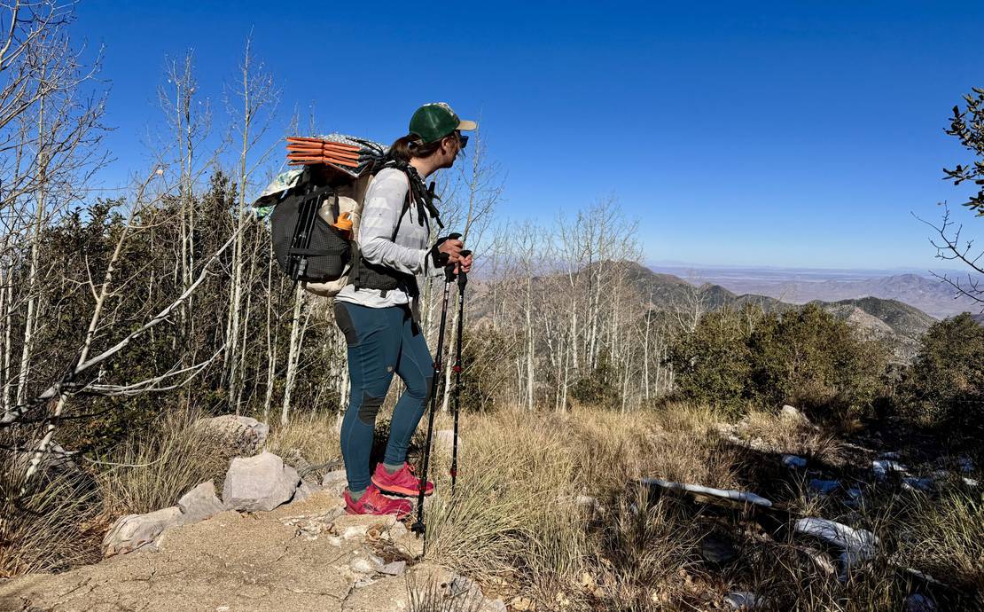REI Flash Carbon Trekking Poles