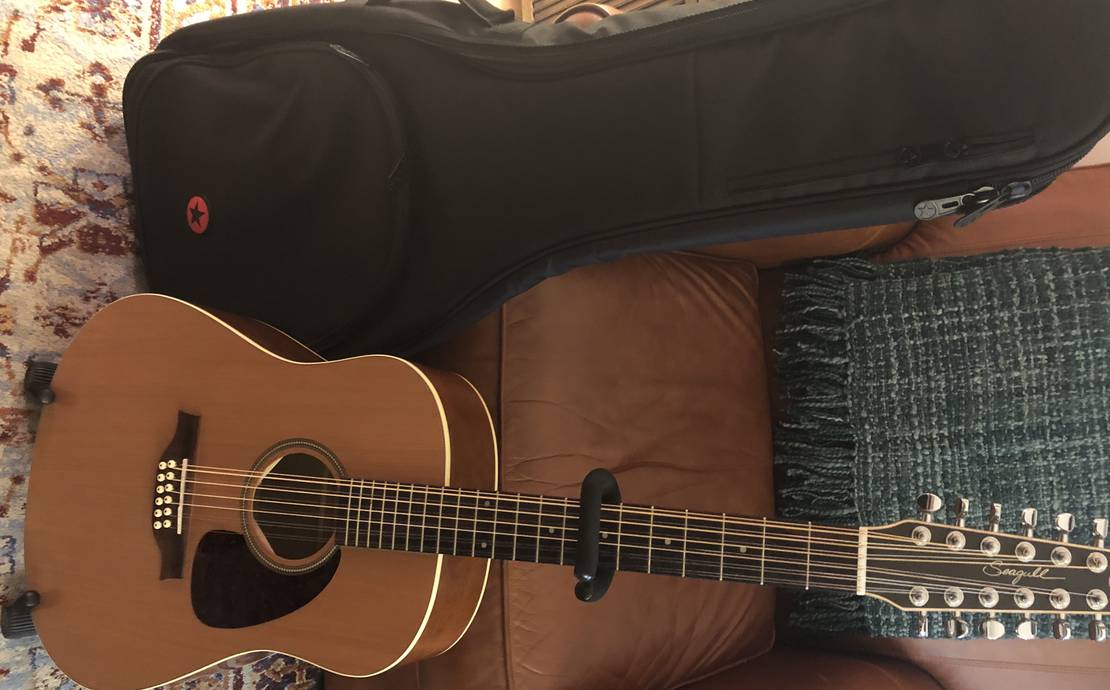 Seagull 12 String Acoustic Electric Guitar Coastline S12 Cedar QI