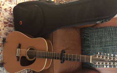 Seagull 12 String Acoustic Electric Guitar Coastline S12 Cedar QI
