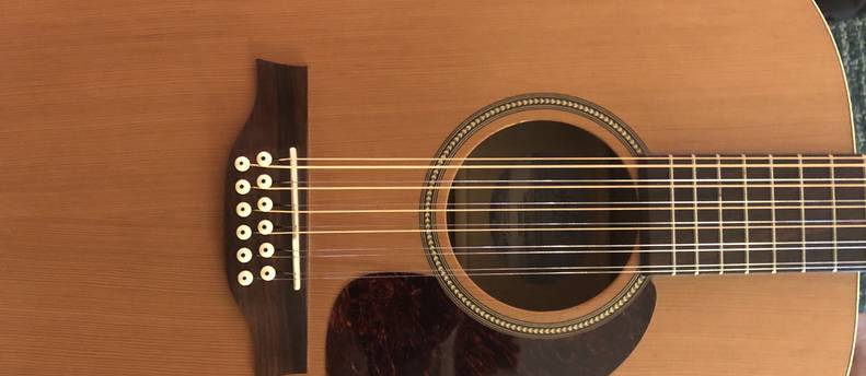 Seagull 12 String Acoustic Electric Guitar Coastline S12 Cedar QI
