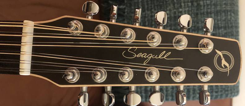 Seagull 12 String Acoustic Electric Guitar Coastline S12 Cedar QI