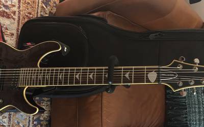 Schecter 7 String Electric Guitar Omen-7 Extreme, Case, Stand