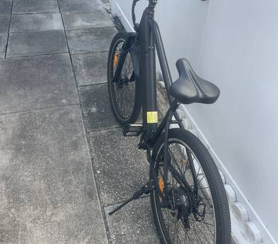Trustmade Electric Bike Panther-X Series